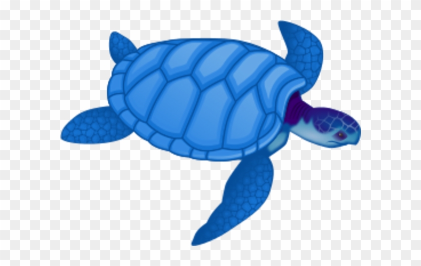 Cute Turtle Clip Art - Cute Turtle Image