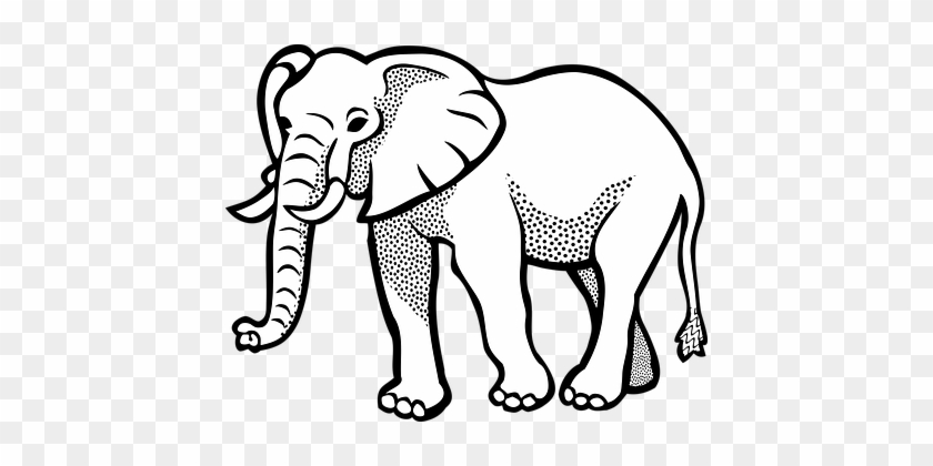 Pics Of Cartoon Elephants - Elephant Image Black And White #182543