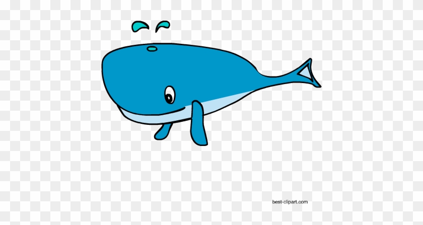 Cartoon Whale Free Clip Art Image - Clip Art #184537