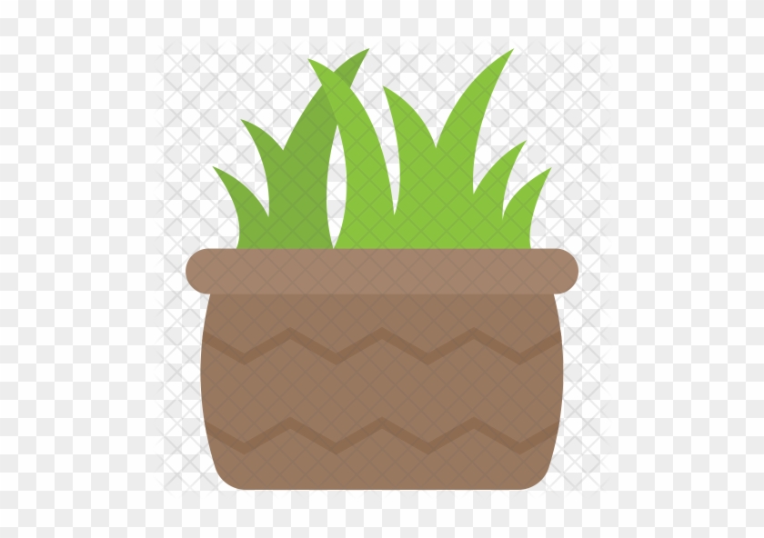 Aloe Vera Icon - Aloe Vera #185561