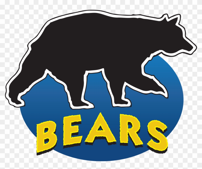 Bears Logo - Bears Logo #185977