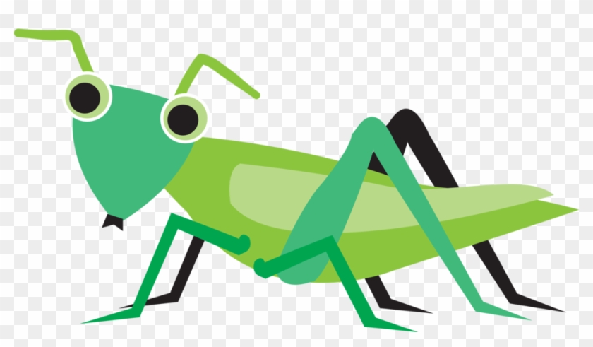 Grasshopper - Grasshopper #1066664