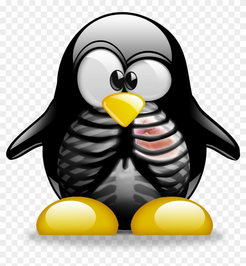 Tux X-ray - Tux #1067663