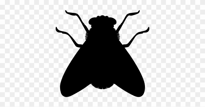 Fly Control Service - Fly Silhouette Png #1068983