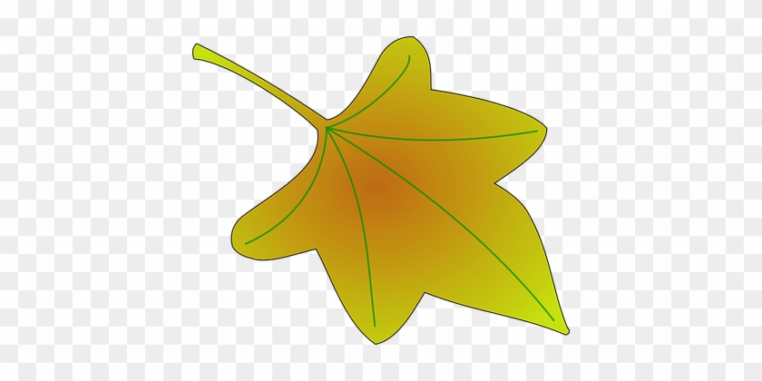 Leaf, Plant, Vine, Tree, Nature, Natural - Grape Leaves Clip Art #1069364