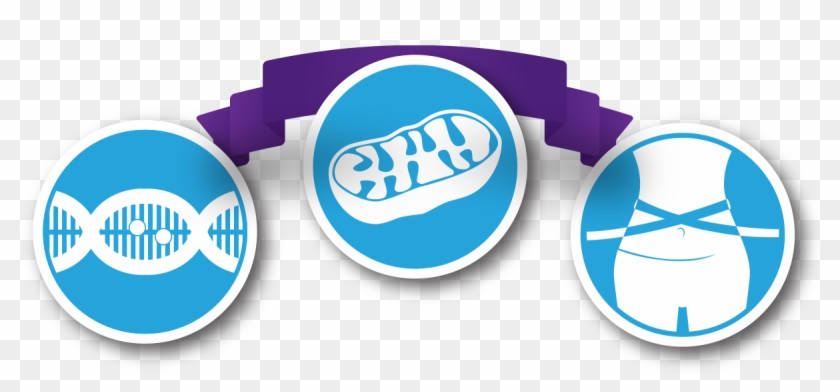 Intersect 4 Life Methylation, Mitochondria, Amp Metabolism - Emblem #1069409