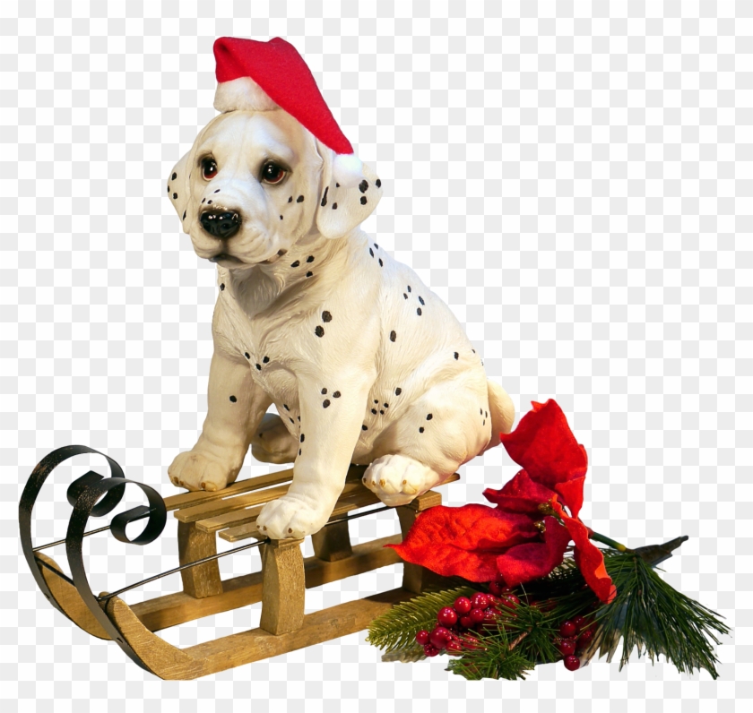 Christmas Dog Png Transparent Image - Christmas Dog Png #1071370