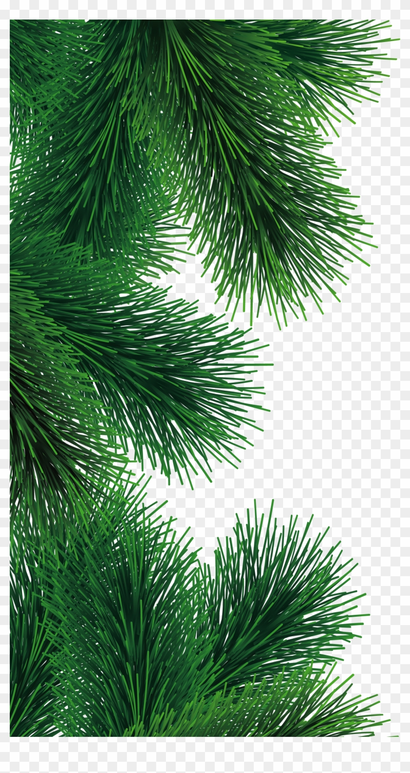 Christmas Fir Tree Png #1072795