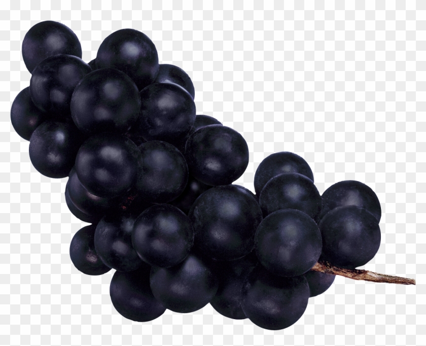 Grape Png Image - Темный Виноград Png #1074048