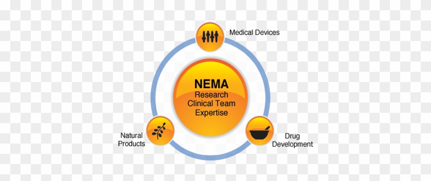 The Nema Research Team Is Ready To Provide You With - Circle #1076624