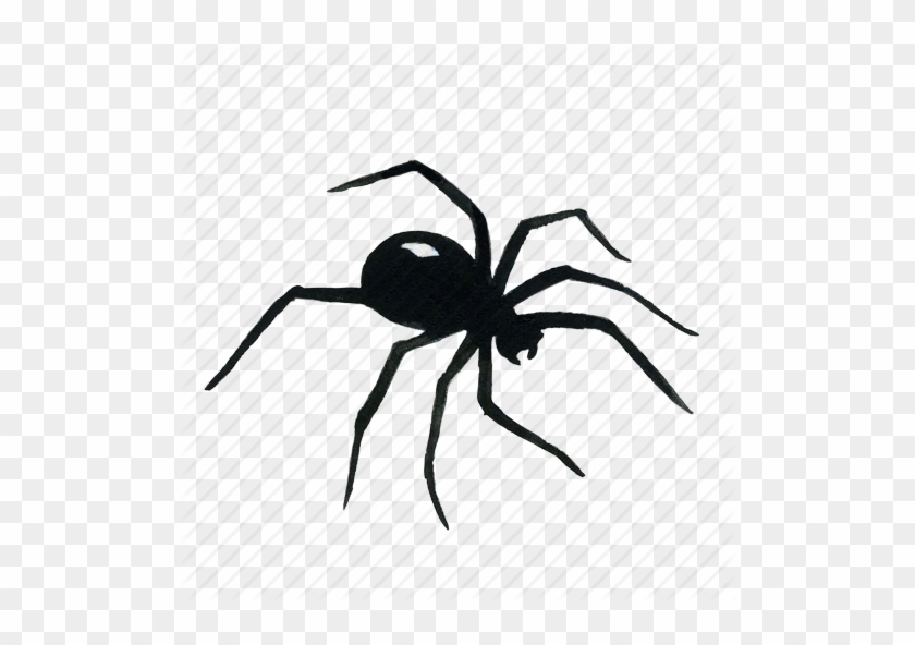 Spider Halloween Icons - Learning #1078116