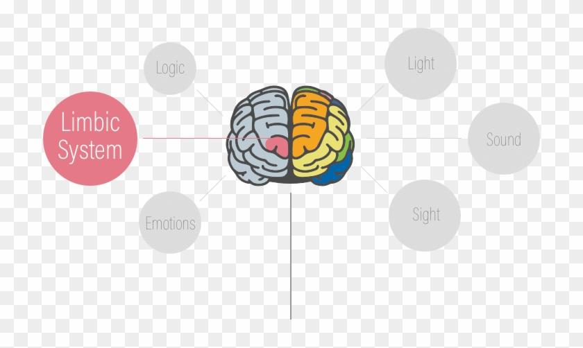 The Limbic System Is The "emotional" Part Of Our Brain - Halloween-aufkleber, Intelligentes Pulver Des Rechteckiger #1079156