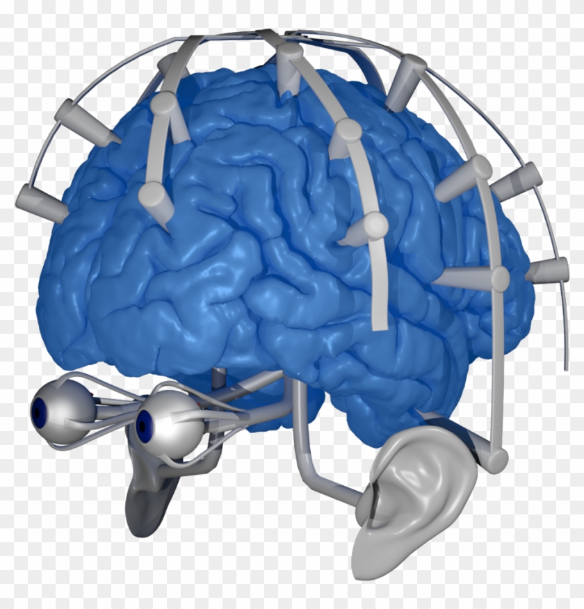 brain cell camera clipart