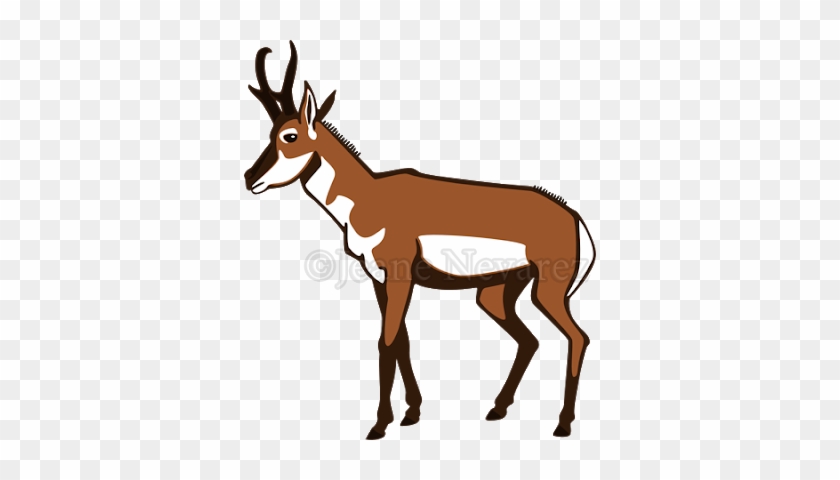 Pronghorn - Pronghorn Clipart #1080970