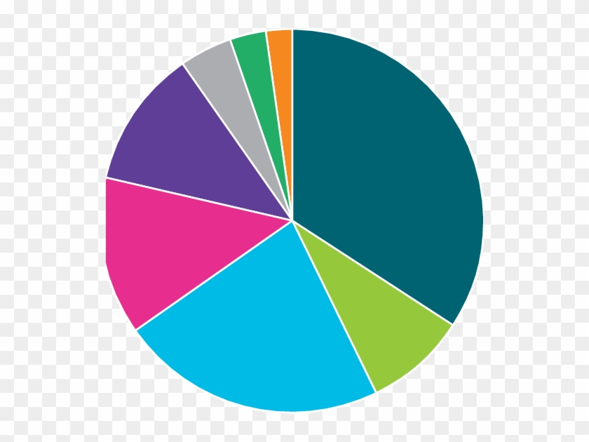 International Student Respondents By Country Of Origin - Circle #1084068