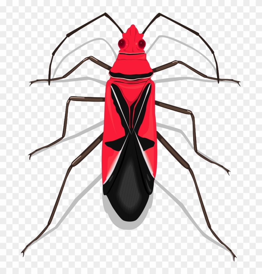 Insect 27 Free Vector - Red Insect #1084698