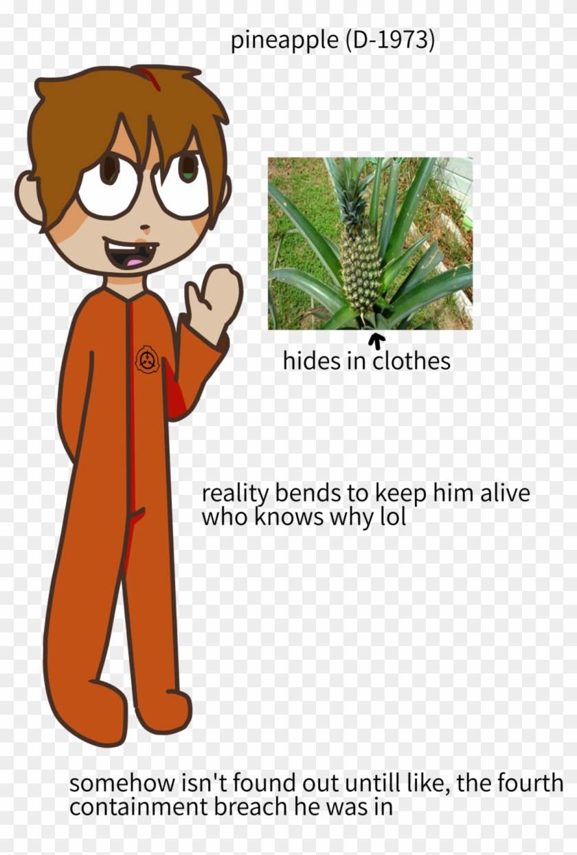 Pineapple D Class Dclass Oc D Class Oc Scp Oc Scp Ask - Cartoon #1088434