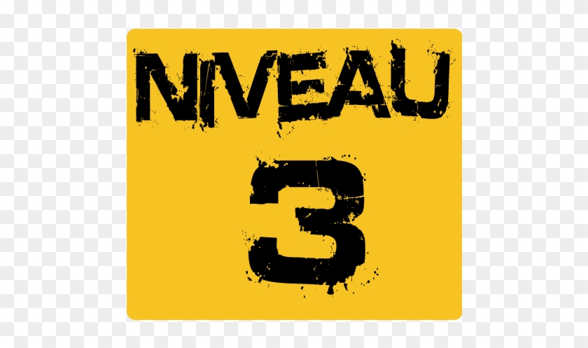 Niveau 3 - Niveau 3 #1089927