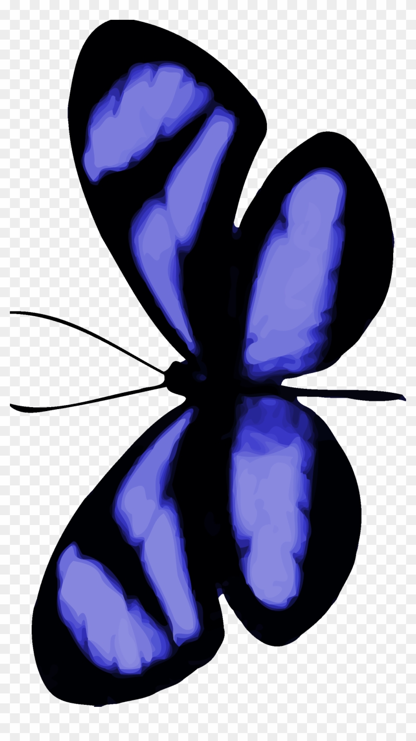 10 - Butterfly #1092845