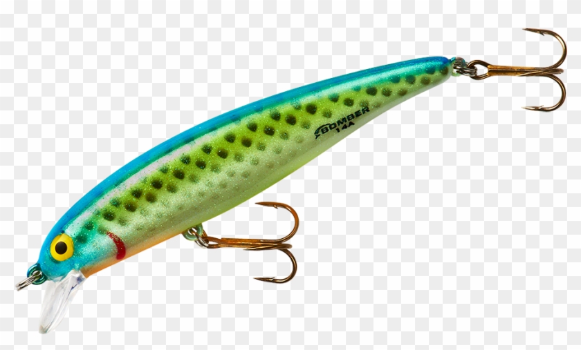 From The Manufacturer - Fishing Lure - Free Transparent PNG