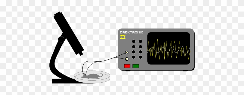 Image - Oscilloscope Clip Art #1100659