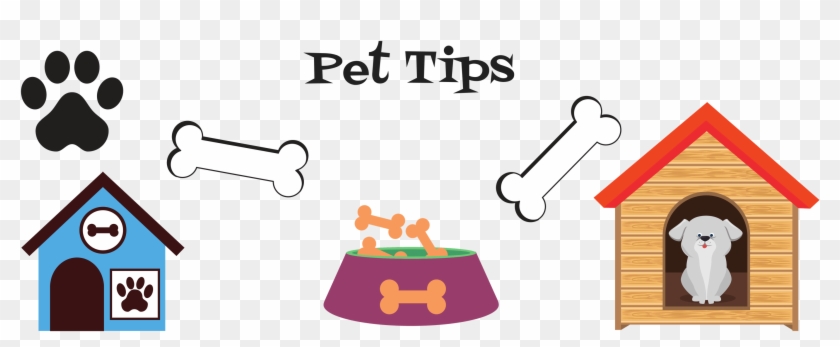 Pet Tips Banner - Pet #1102711