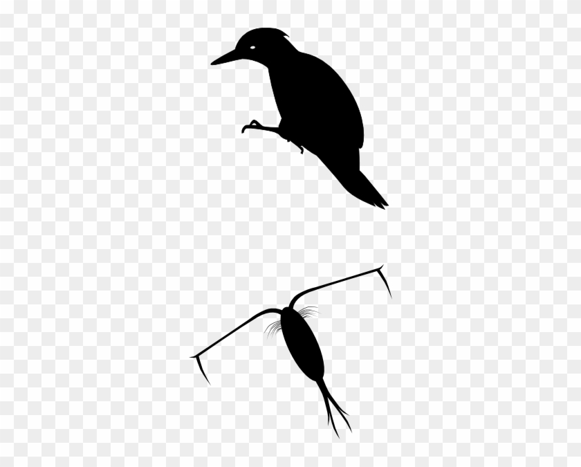 Woodpecker Silhoutte Clip Art - Custom Black Yaffle Silhouette Shower Curtain #186267