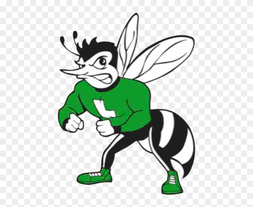 Welcome To The Hive - Lincoln High School San Diego Hornets #187241