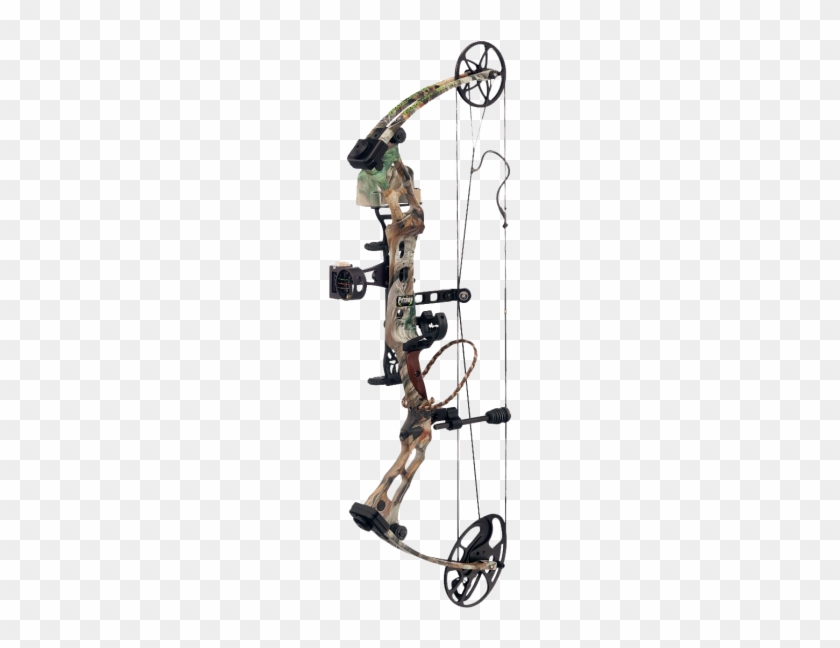 Built - Compound Bow #1107058