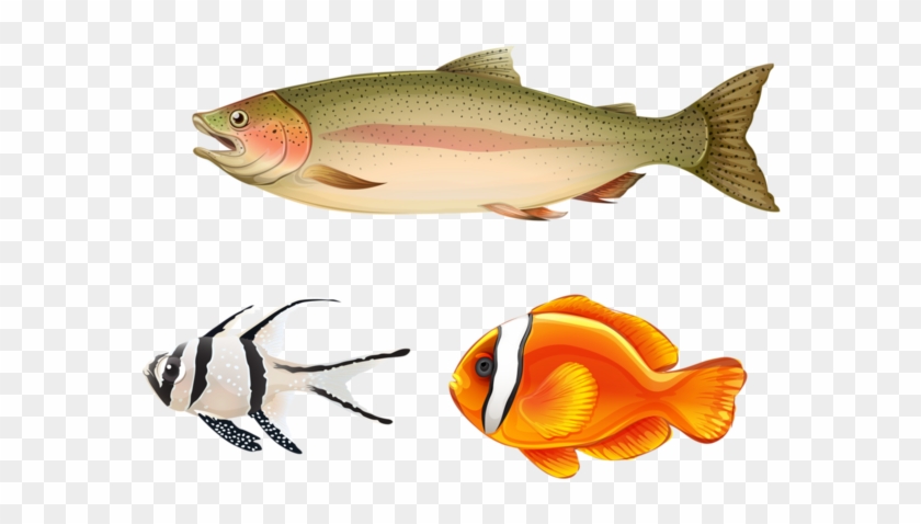 Clip Art - 3 Peces #1109659