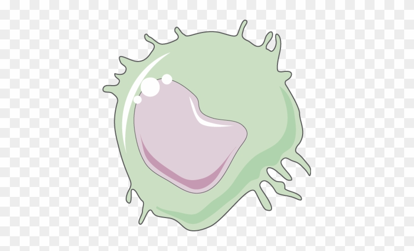 Monocyte - Illustration #1109893