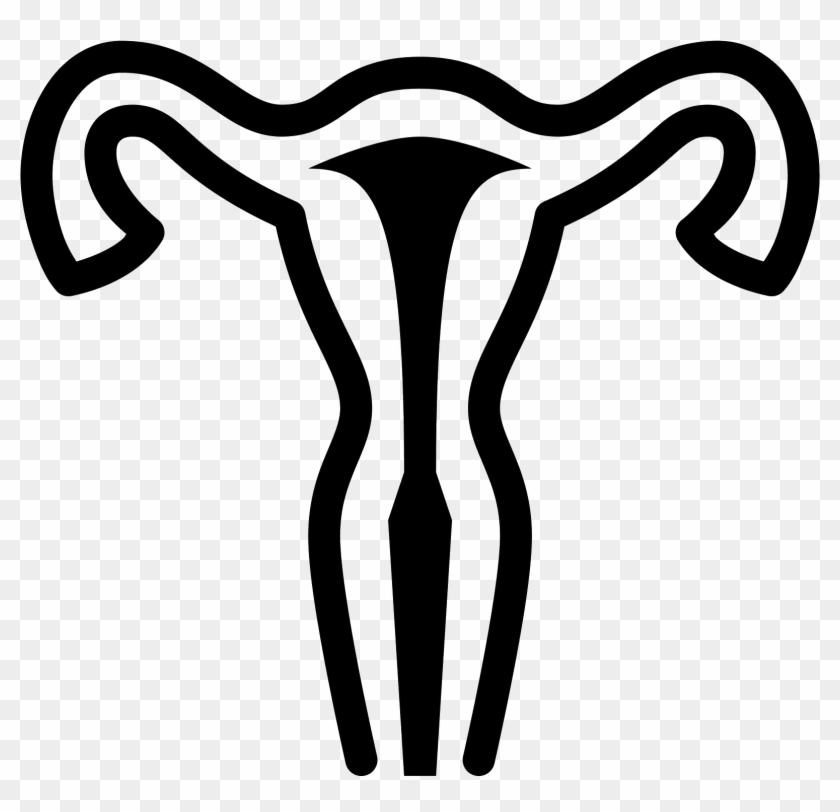 This Icon Represents The Uterus Of A Female Human - Uterus #1113872