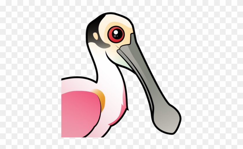 About The Roseate Spoonbill - Spoonbills #1116775