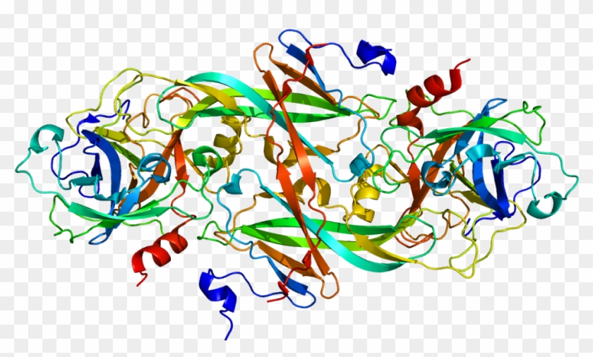 Human Coagulation Factor Ix #1116873