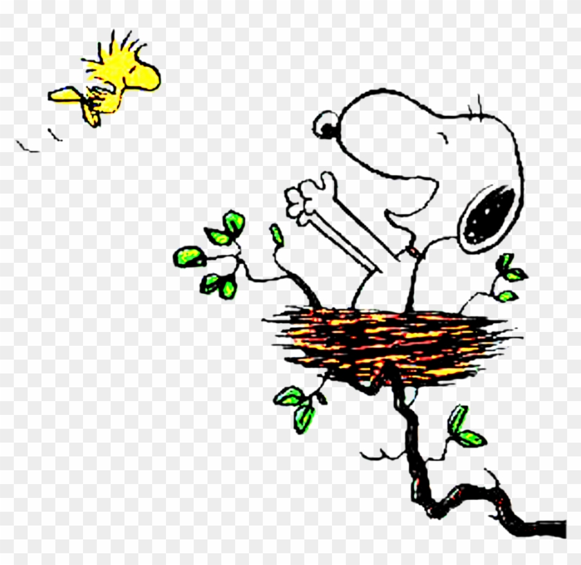 Snoopy Und Woodstock By Bradsnoopy97 Snoopy And Woodstock Flying Free Transparent Png Clipart Images Download