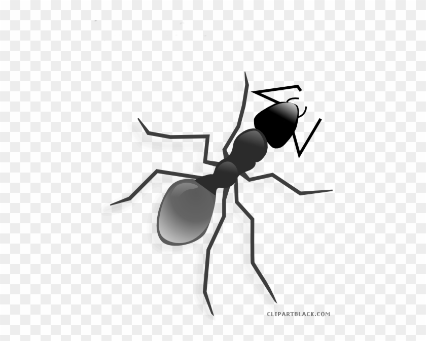 Ant Animal Free Black White Clipart Images Clipartblack - Ant Clip Art #1119428