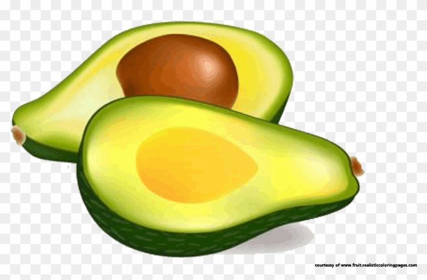 Avocado Clipart Avacado - Clipart Picture Of Avocado #1121472