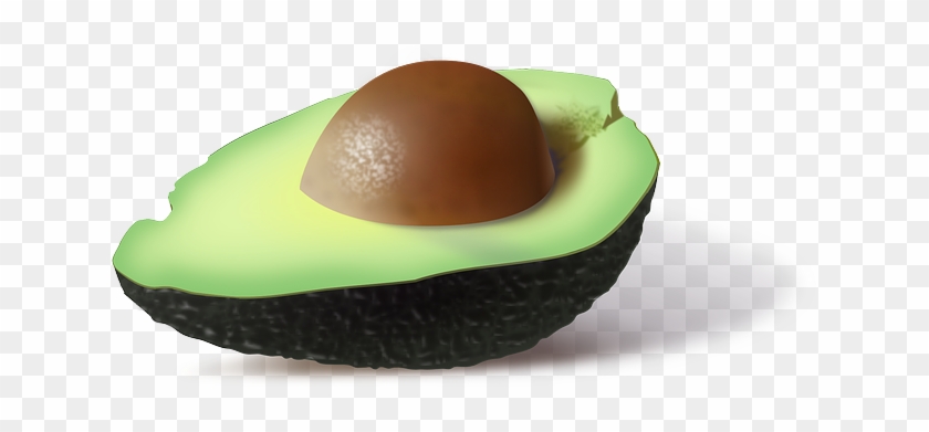 Free To Use &, Public Domain Avocado Clip Art - Avocado Png Clip Art #1121494