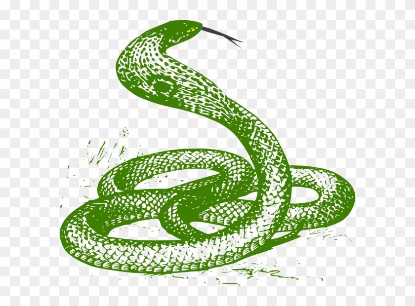 Viper Clipart Green Snake - Cobra Drawing #1123871