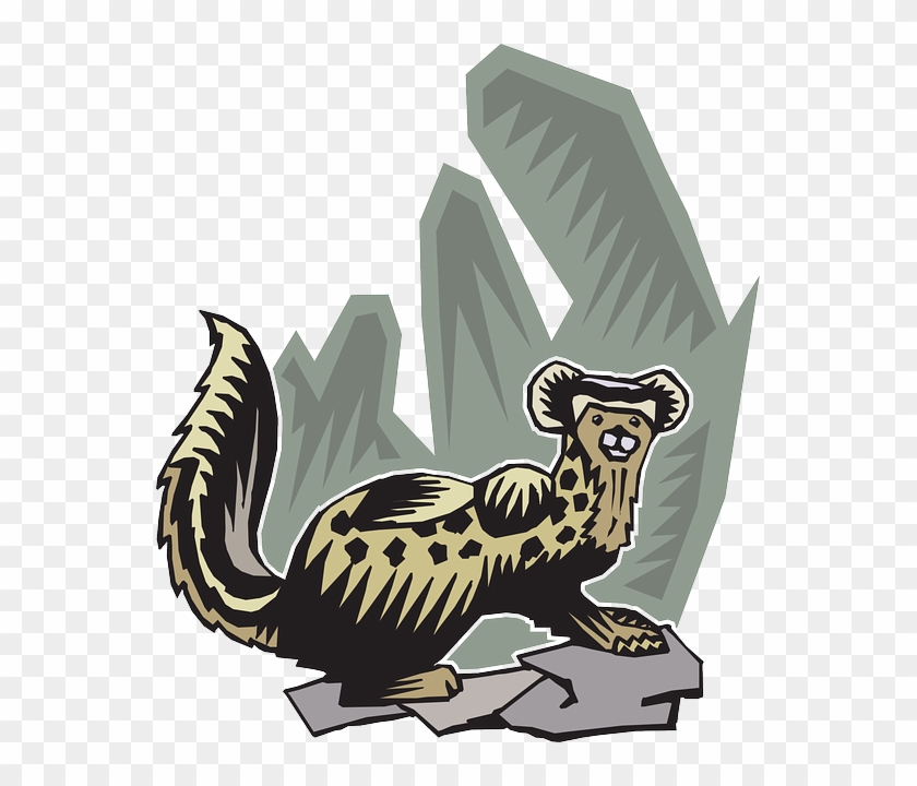 Ferret Stylized, Rocks, Background, Art, Animal, Tail, - Stylized Animal Array #1125045