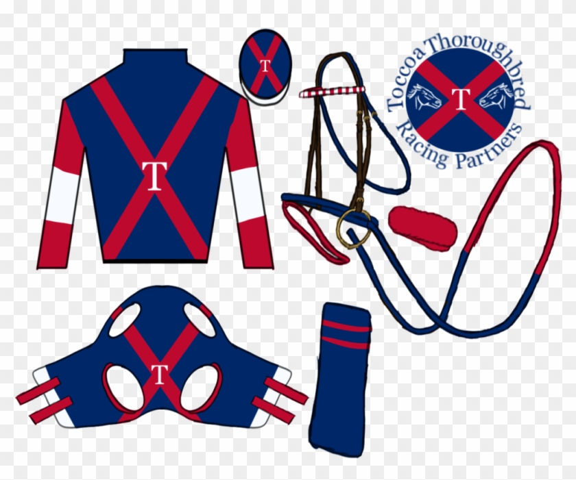 Toccoa Thoroughbred Racing Partners - Toccoa Thoroughbred Racing Partners #1129573