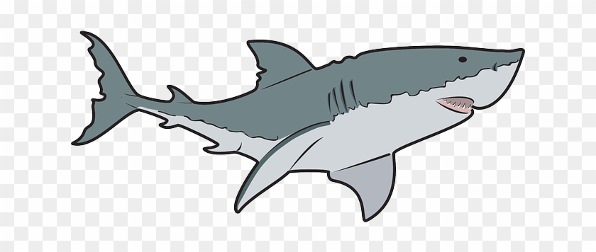 Free To Use Public Domain Shark Clip Art - Billfish #1131653