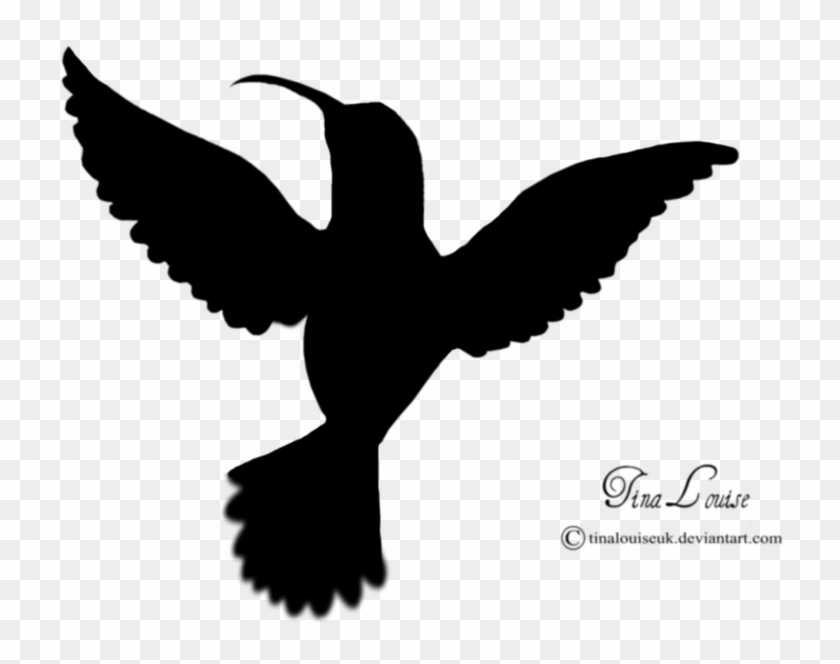 Hummingbird Clipart Black And White - Hummingbird Stencils - 2 Pc Stencil Set 8x10 14 Mil #1132341