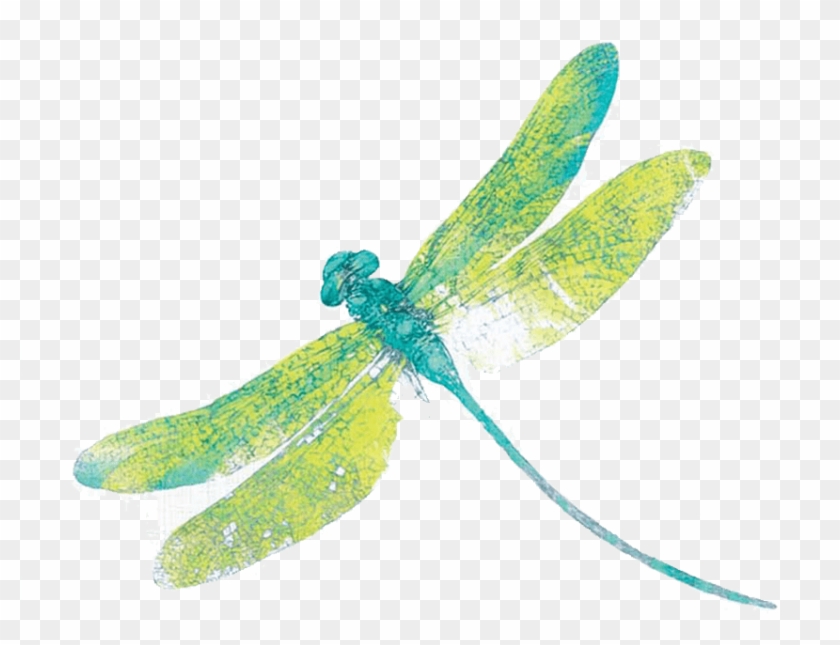 Dragonfly Clipart Transparent Background - Damselfly #1134308