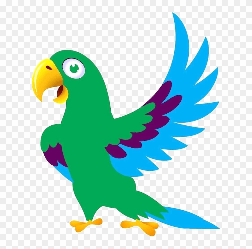 Rdm Parrots & Supplies Illawarra - Cartoon Images Of Birds - Free ...