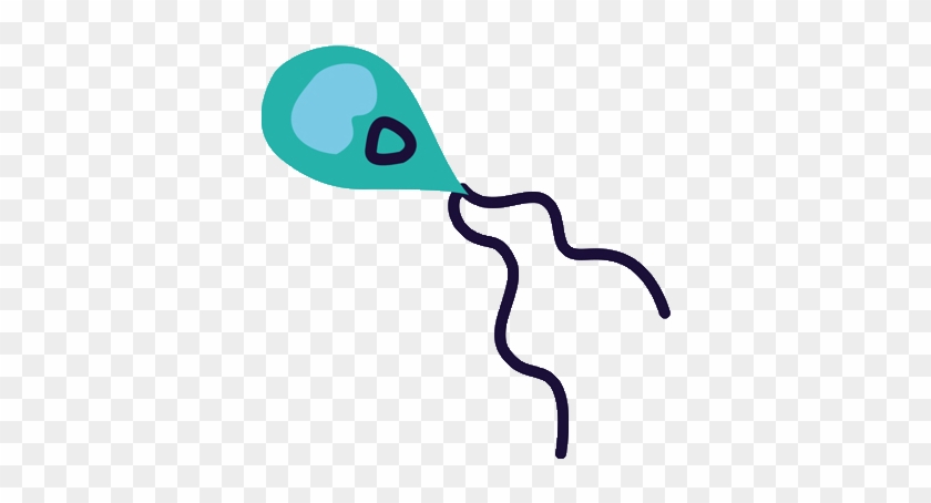 Giardia Lamblia - Giardia Lamblia #1135644