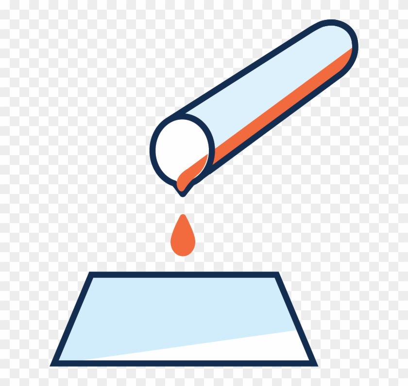 Block - Western Blot #1135648