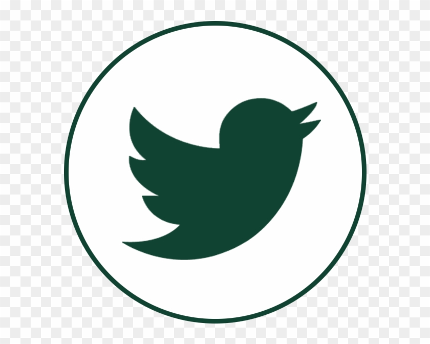 Twitter Icon Vector Png #1135908