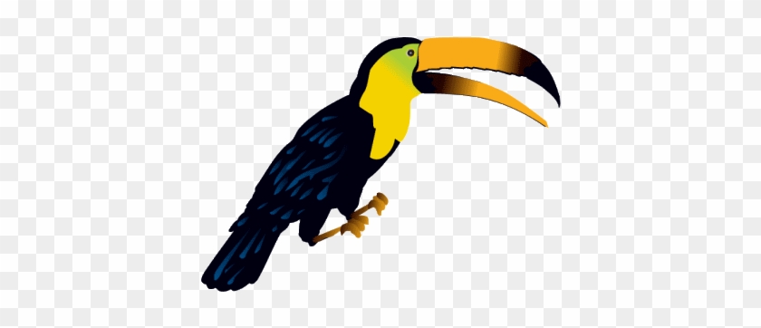 Toucan Bird Png Clipart Picture - Jungle Animal Clip Art #1138922