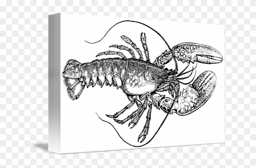 lobster vintage black and white clipart